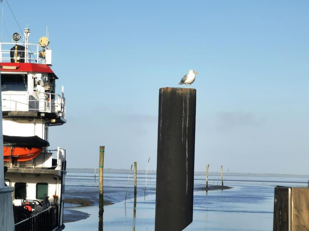 Schicke Ferienwohnung Julia An Der Nordsee Lutetsburg Екстер'єр фото
